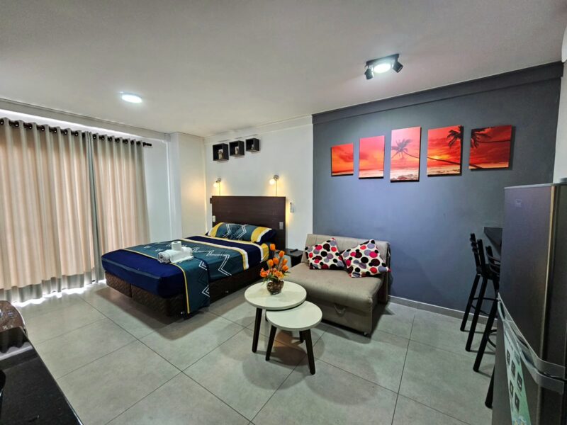 Monoanbiente en la Zona Norte