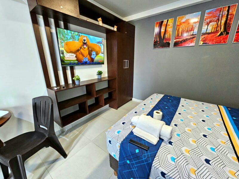 Monoanbiente en la Zona Norte