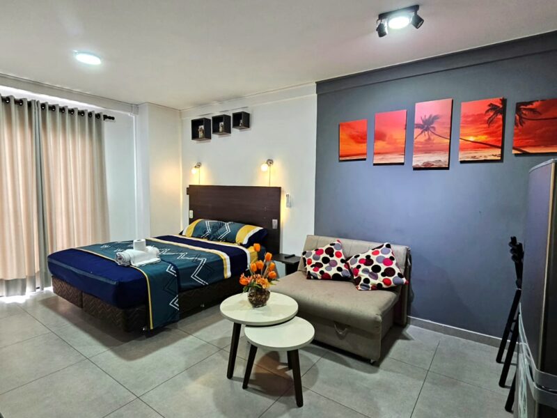 Monoanbiente en la Zona Norte