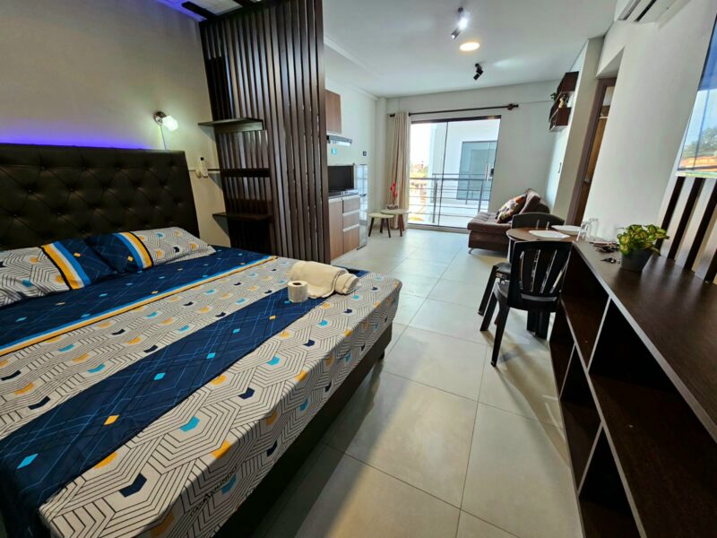 Monoanbiente en la Zona Norte