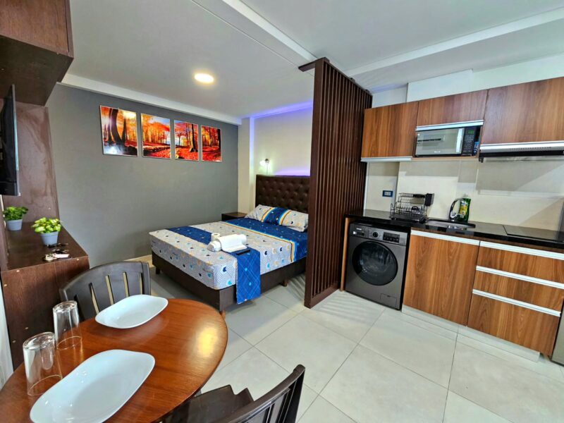 Monoanbiente en la Zona Norte